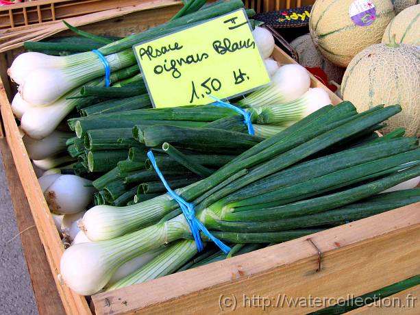 2007-05-12_08-38-18_Mai_55,1mm_1_320_eme_Canon PowerShot A95 